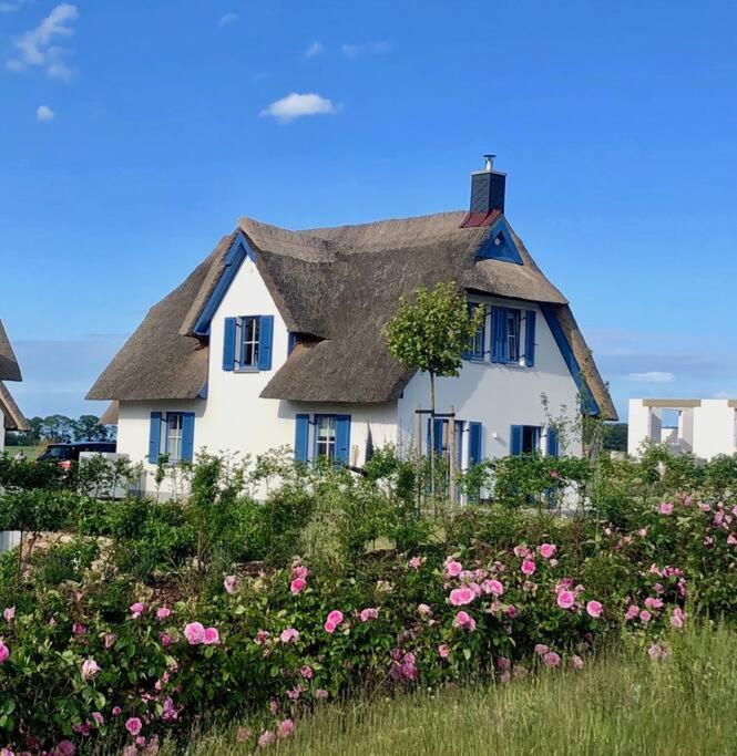 Reetdachhaus Seasons Mit Kamin & Sauna Gross Schwansee Bagian luar foto